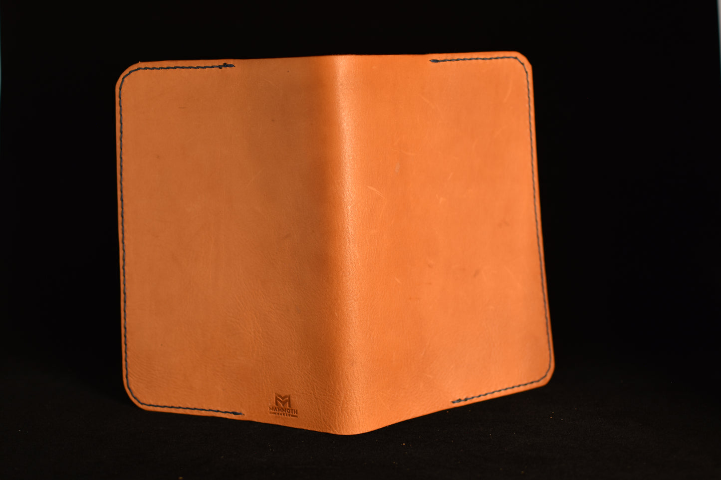Hawthorne Journal #379